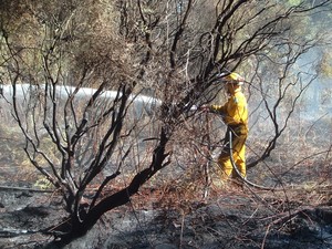Taupo Rural Fire Force attended a fire at Spa Park at 3.30am on the morning of Easter Monday